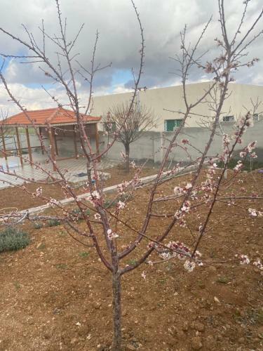 Farm 0798815489