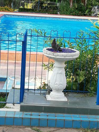 Residence Baia Blu Falcone