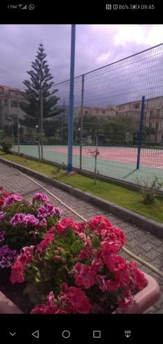 Residence Baia Blu Falcone