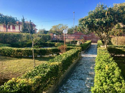 B&B Annetta