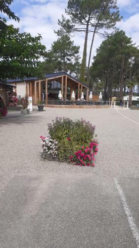 Mobil Home