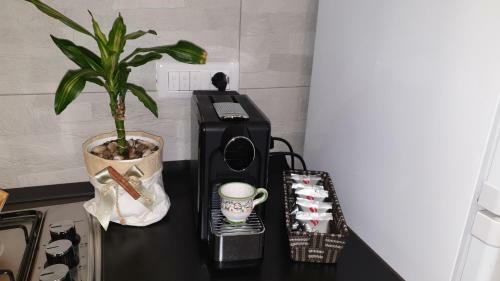 Bed & Breakfast Casa Angelina