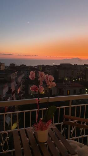 Bed & Breakfast Casa Angelina