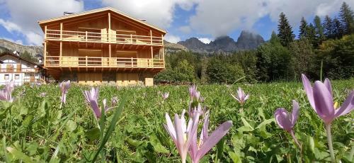 Apartamento Tabi� Sui Pr� - Appartamento Monolocale Anna