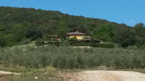 Agroturismo Podere Mammoleta