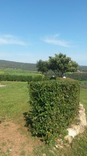 Agroturismo Podere Mammoleta