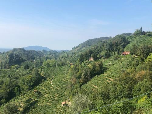 Apartamento Vinai Uno