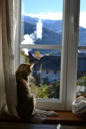 Apartamento Altes Pfarrhaus Altersberg
