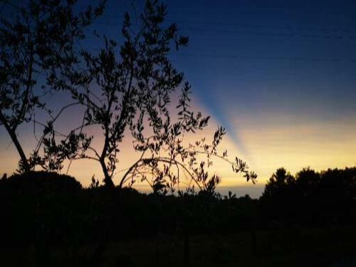 Bed & Breakfast Masseria Le Querciole