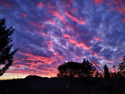 Bed & Breakfast Masseria Le Querciole