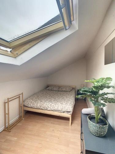 Apartamento Studio Cosy Centre Ville Tout Confort Wifi