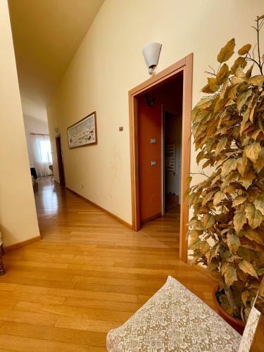 Hotel Orchidea