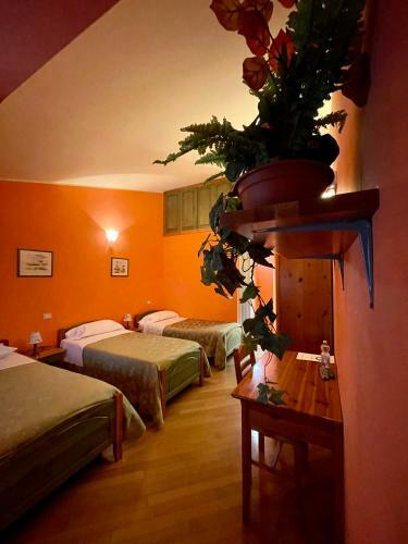 Hotel Orchidea