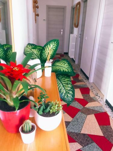 B&B Dell'amicizia