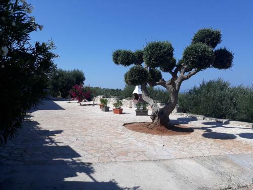 Apartamento Casa Campagna