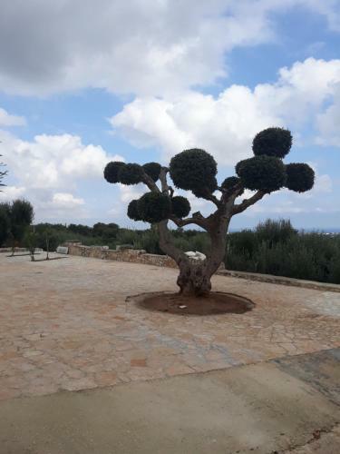 Apartamento Casa Campagna