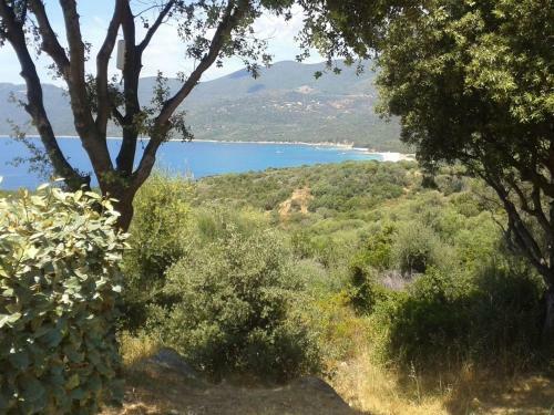 R�sidence Alba Rossa, Serra-di-ferro, Accommodation With Terrace Or Balcony