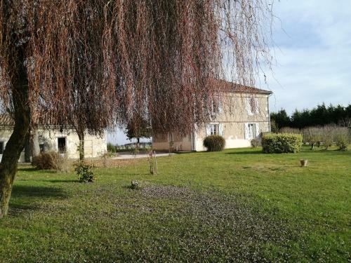 Domaine De Solomiac