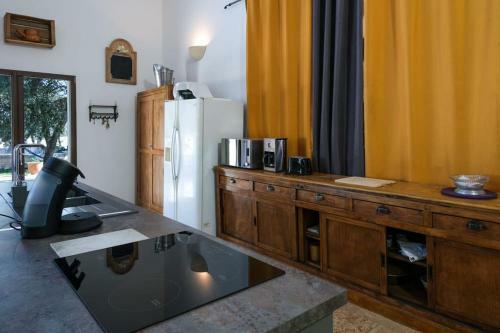 Villa Mas De La Ronci�re
