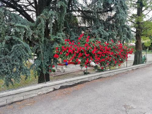 Apartamento Villa Lilli 3