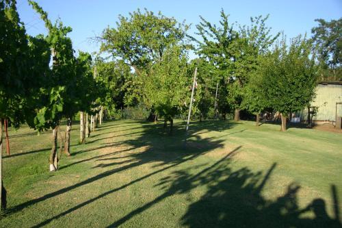 Apartamento Villa Lilli 3