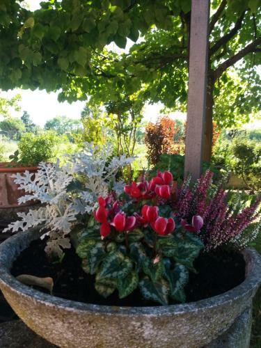 Bed & Breakfast R&b Un Mondo A Colori