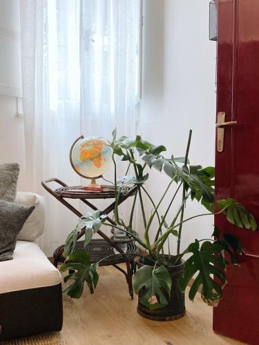 Apartamento Caravanilia Studio