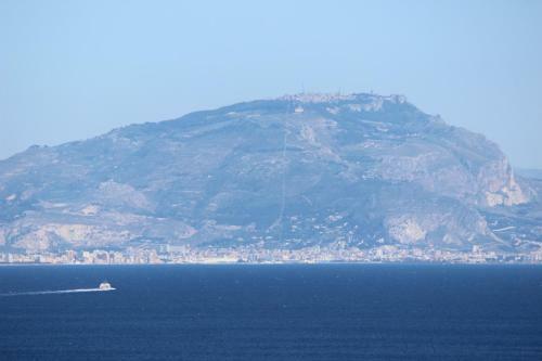 La Pineta
