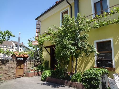 Hotel Rose
