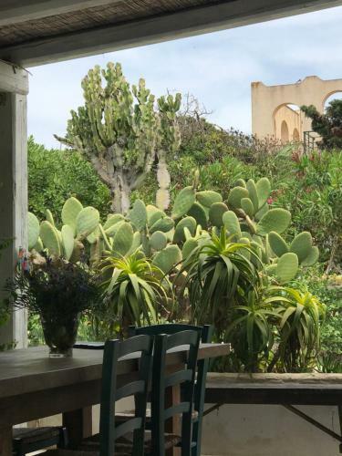 Casa Viansa