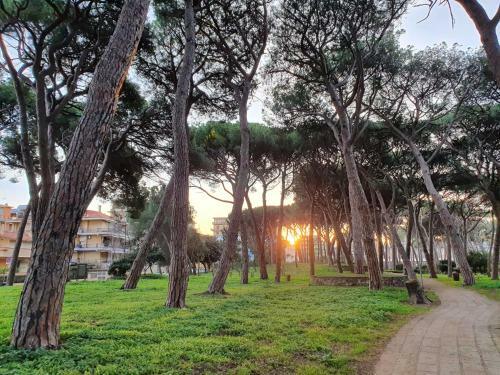 Apartamento Casa Marina - Monolocale Vista Mare