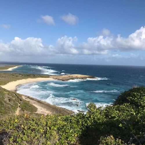 Villa Au Soleil Des Antilles
