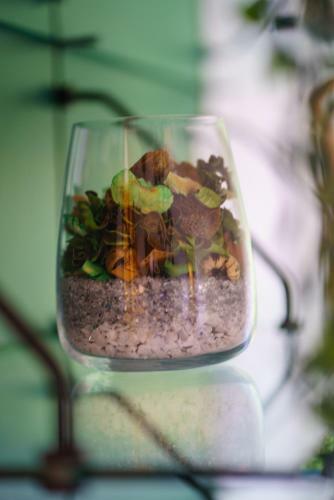 Apartamento I Colori Di Rio