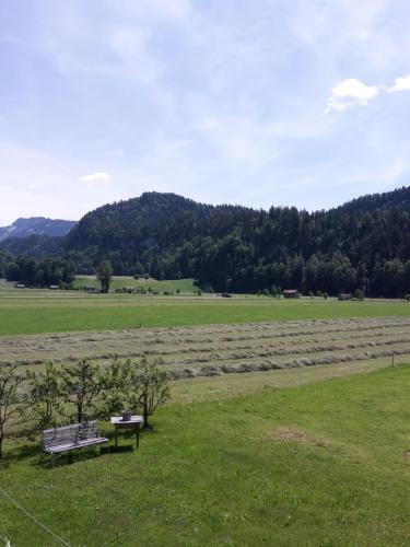 Apartamento G�stehaus Appartements Egender