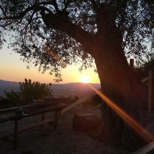 Hostal Il Colle Degli Ulivi