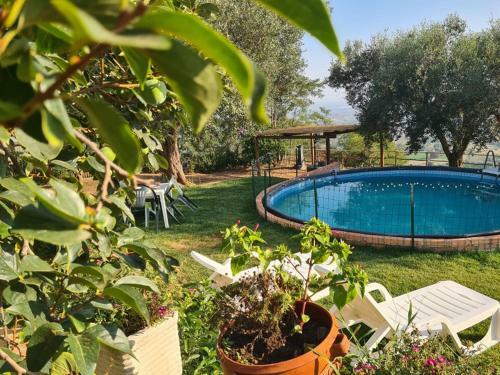 Hostal Il Colle Degli Ulivi