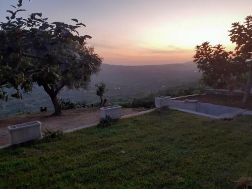 Hostal Il Colle Degli Ulivi