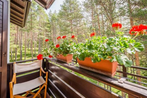 Residence Alice Nel Paese Dell' Armentarola