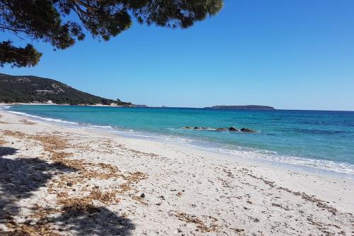 Apartamento L'original, Superbe Appartement � 5min de La Plage