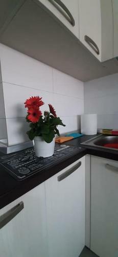 Gold Key Apartments, Durres Beach