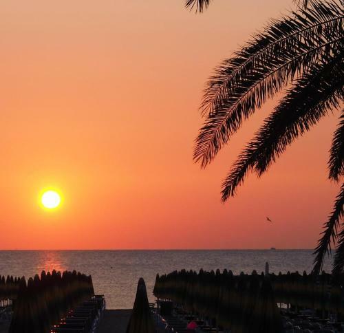 Hotel Soraya