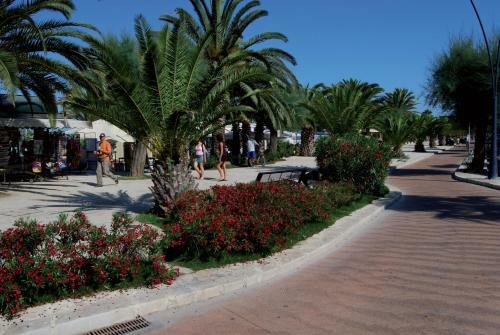 Hotel Soraya