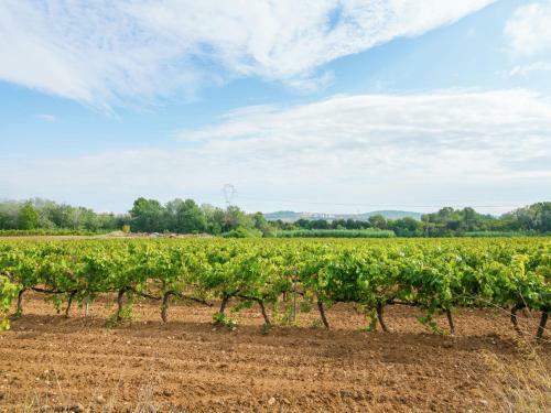 Lodge Holiday Home El Raco Pacs Del Penedes