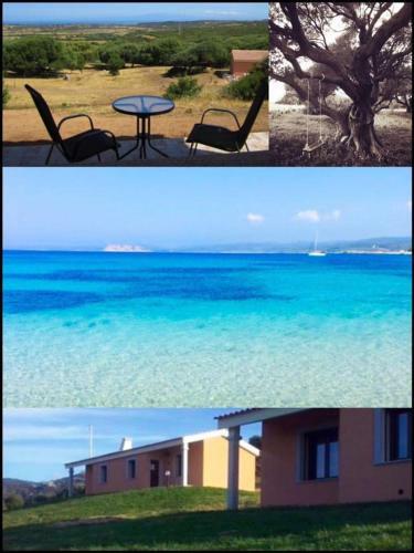 Apartamento Gli Olivastri -casa Corbezzolo