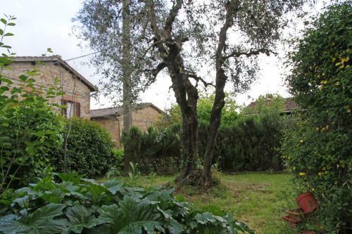 Casa Marisa Siena