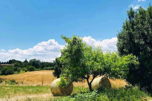 Lodge Villa In Toscana A Due Passi Da Saturnia