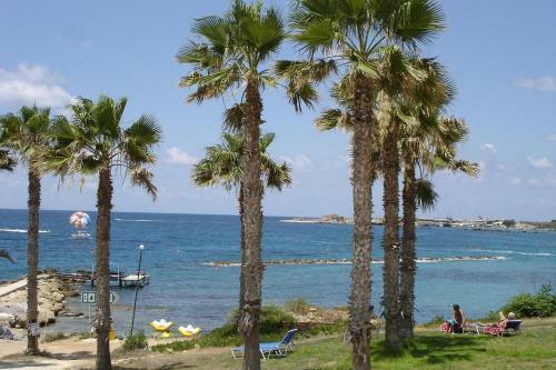 The Well-equipped Luxury Apartment Paphos Riviera