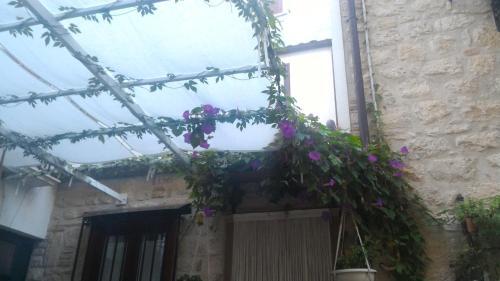 Cortile Suez
