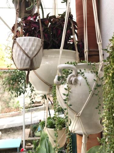 Cortile Suez