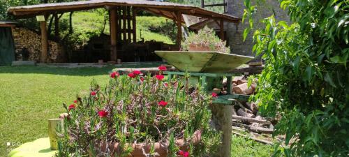 Apartamento Mulino Medievale Dei Renzetti